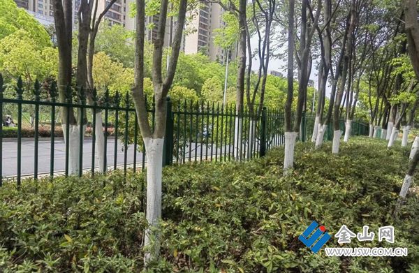 樂魚·體育增設(shè)寧靜護(hù)欄“小”辦法 保證市